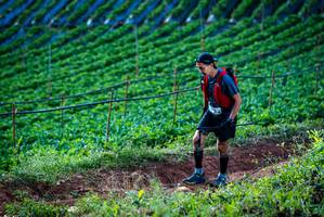 BIB: 
                            <button type="button" onclick="openModal(19159970)" class="btn btn-primary btn-sm float-right btn-popup" data-toggle="modal" data-target=".modal-high-quality">
                        <i class="fas fa-shopping-cart"></i> Add to Cart
                    </button>
                                            <button type="button" onclick="isThisMe(19159970, true)" class="btn btn-success btn-sm float-right btn-popup btn-isme hidden" data-toggle="tooltip" data-placement="bottom" title="นี่คือรูปของคุณใช่ไหม คลิกที่นี่เพื่อเอาเข้าอัลบั้ม">
                        <i class="fas fa-plus"></i> Add to album
                    </button>
                    <button type="button" onclick="isThisMe(19159970, false)" class="btn btn-warning btn-sm float-right btn-popup btn-isnotme hidden">
                        <i class="fas fa-ban"></i> Remove from album
                    </button>